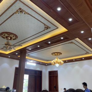 Trần Nhựa Nano Giât Cấp