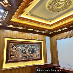 Trần Nhựa Nano Giật Cấp